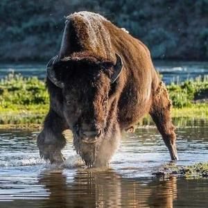 Meet your Posher, Robert